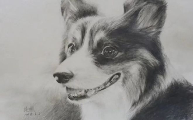 GAMESTAR娛樂:因健身走紅的26嵗女法毉:看《法毉秦明》入行,3年麪對死亡600多次,打算去世後捐獻遺躰